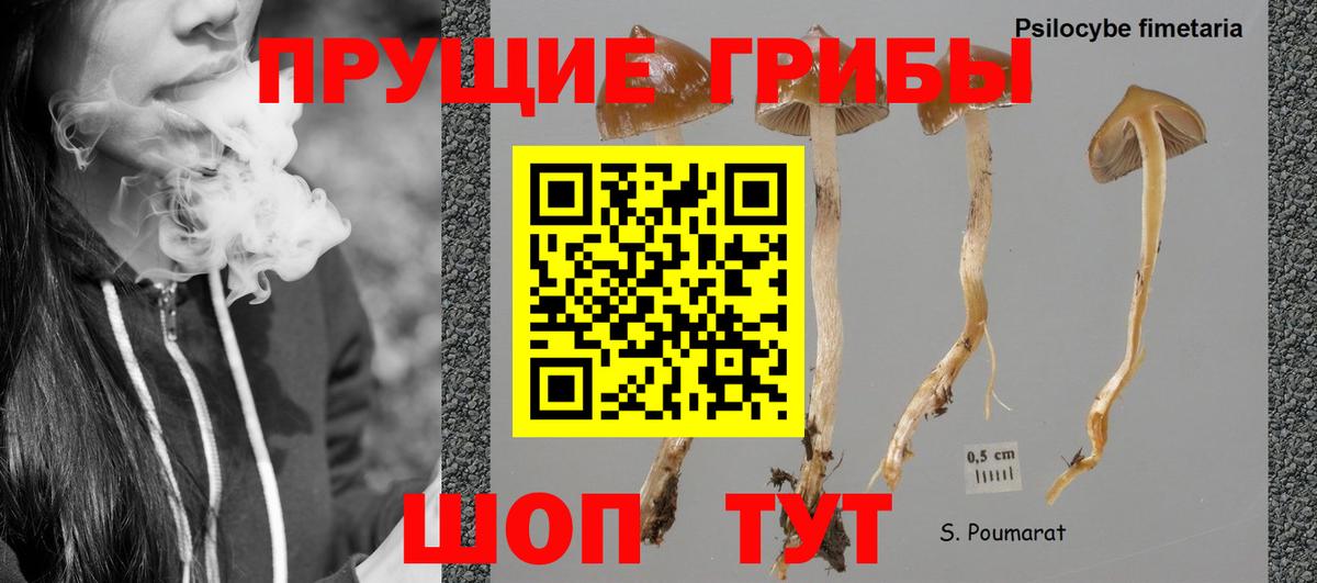 Елабуга  Галлюциногенные грибы мицелий  Галлюциногенные грибы Cubensis  Вход с VPN 